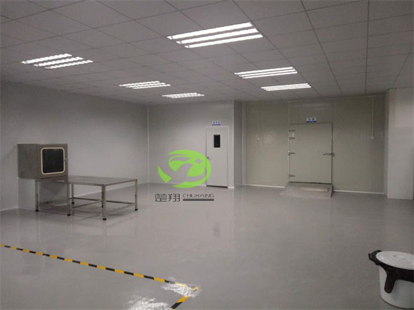 郴州福鵝食品羞羞软件下载車間裝修工程(圖7)