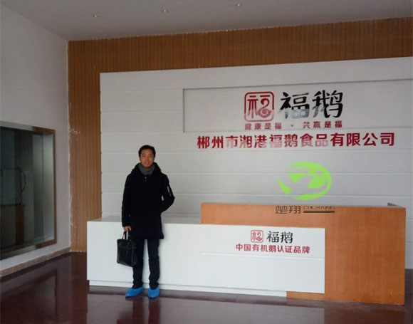 郴州福鵝食品羞羞软件下载車間裝修工程(圖2)