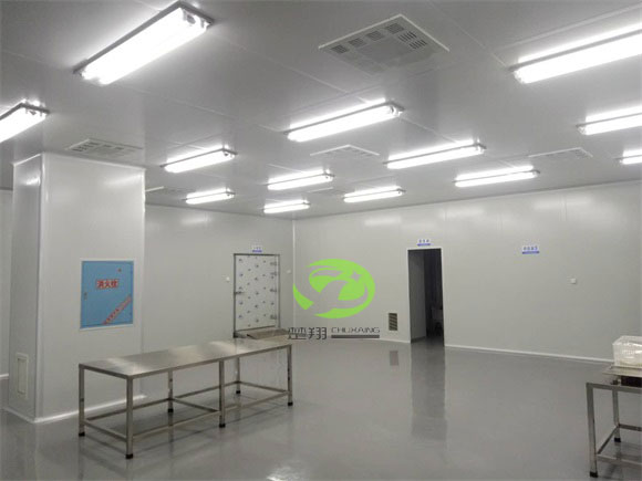 郴州福鵝食品羞羞软件下载車間裝修工程(圖5)